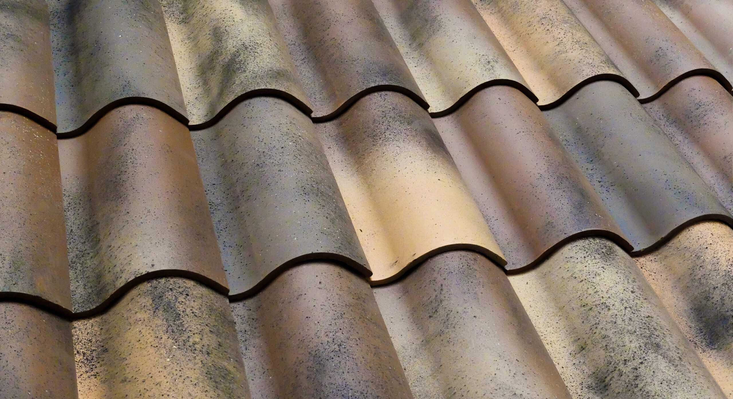 Verea Spanish S in Santiago Blend